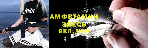 гашик Алексеевка