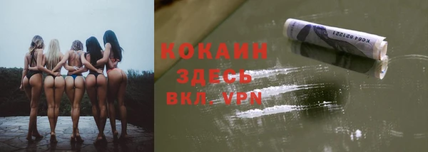 прущие крисы Алзамай