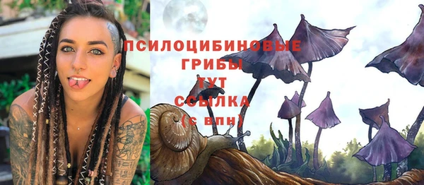 гашик Алексеевка