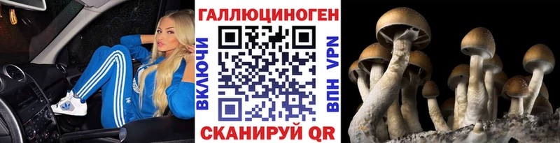 Галлюциногенные грибы мицелий  Всеволожск 